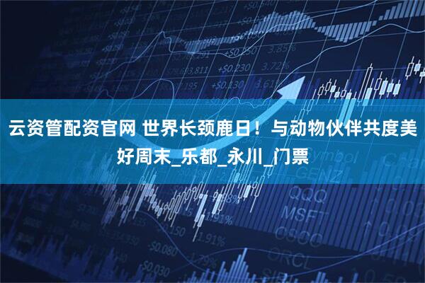 云资管配资官网 世界长颈鹿日！与动物伙伴共度美好周末_乐都_永川_门票